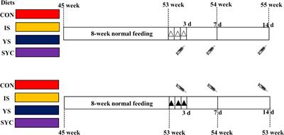 Dietary selenium sources alleviate immune challenge induced by Salmonella Enteritidis potentially through improving the host immune response and gut microbiota in laying hens